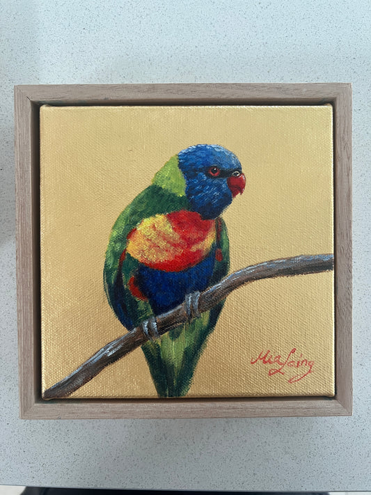 Golden rainbow Lorikeet